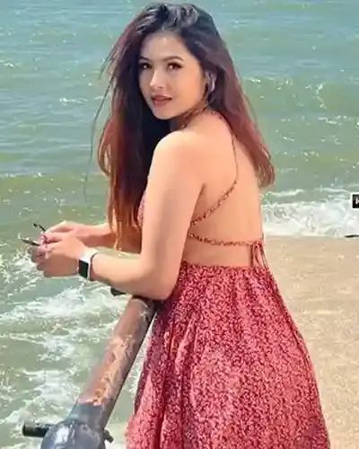 Pilkhuwa Escort Service